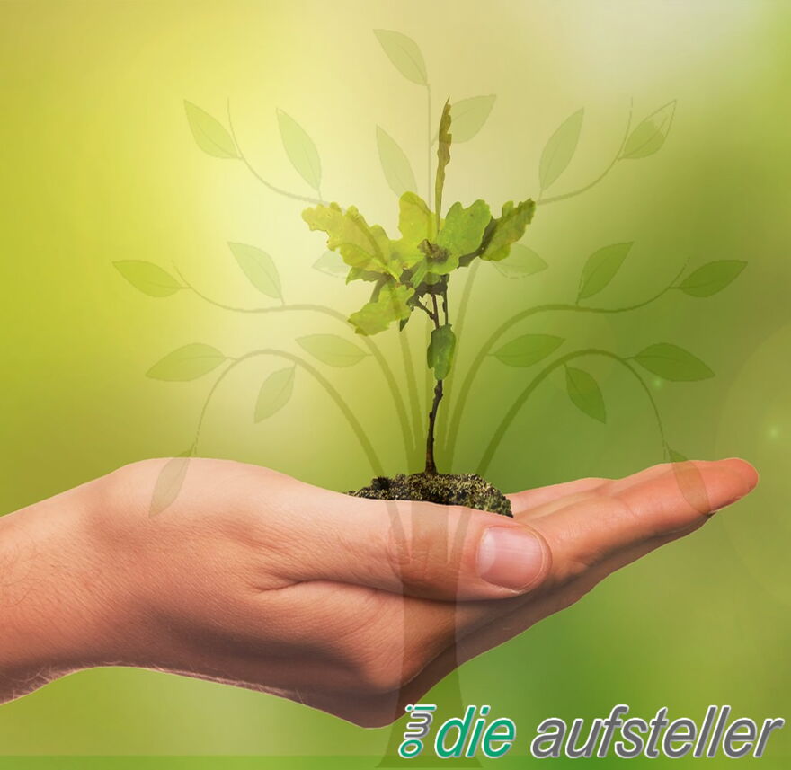 Zur Qualitätssicherung unserer Aufstellungsarbeit - Experimentelle Plattform - Aufstellungs-Labor und Intervisionsgruppe - The Good Solution GmbH - www.ch-aufstellungen.ch