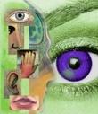 Wahrnehmungsmuster und Verhaltensmuster - NLP - Systemische Aufstellungen - The Good Solution GmbH - www.ch-aufstellungen.ch